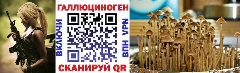 Псилоцибиновые грибы Psilocybe  сколько стоит  Называевск 